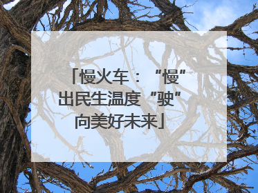 慢火车：“慢”出民生温度“驶”向美好未来